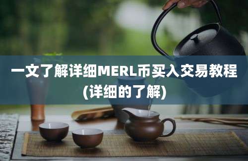 一文了解详细MERL币买入交易教程(详细的了解)