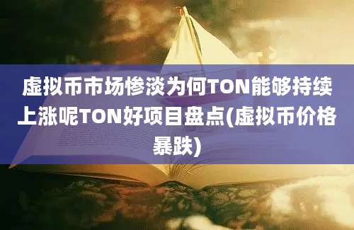 虚拟币市场惨淡为何TON能够持续上涨呢TON好项目盘点(虚拟币价格暴跌)