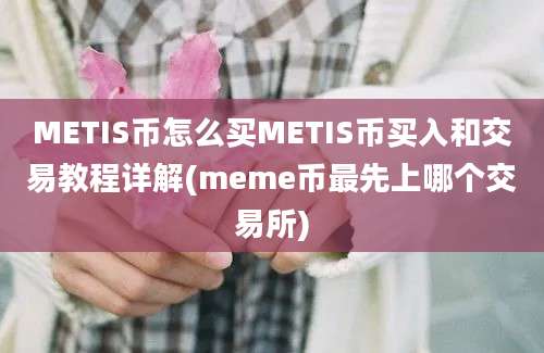 METIS币怎么买METIS币买入和交易教程详解(meme币最先上哪个交易所)