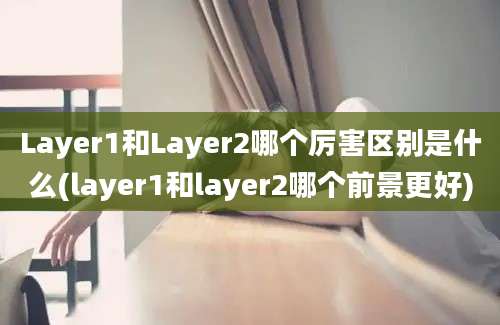 Layer1和Layer2哪个厉害区别是什么(layer1和layer2哪个前景更好)