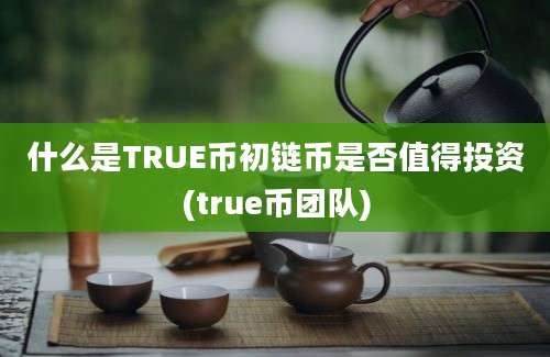 什么是TRUE币初链币是否值得投资(true币团队)