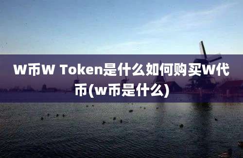 W币W Token是什么如何购买W代币(w币是什么)