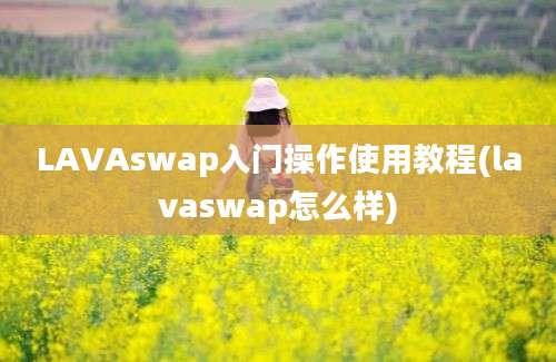 LAVAswap入门操作使用教程(lavaswap怎么样)