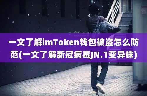 一文了解imToken钱包被盗怎么防范(一文了解新冠病毒JN.1变异株)