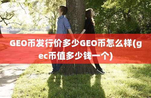 GEO币发行价多少GEO币怎么样(gec币值多少钱一个)