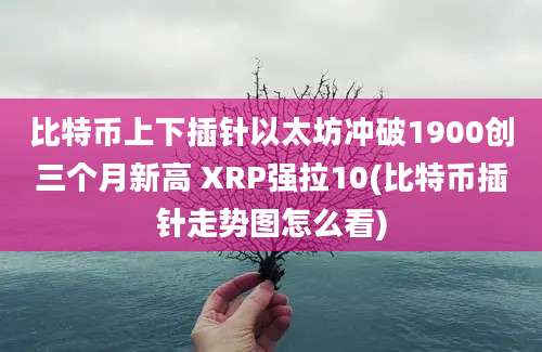 比特币上下插针以太坊冲破1900创三个月新高 XRP强拉10(比特币插针走势图怎么看)