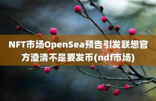 NFT市场OpenSea预告引发联想官方澄清不是要发币(ndf市场)