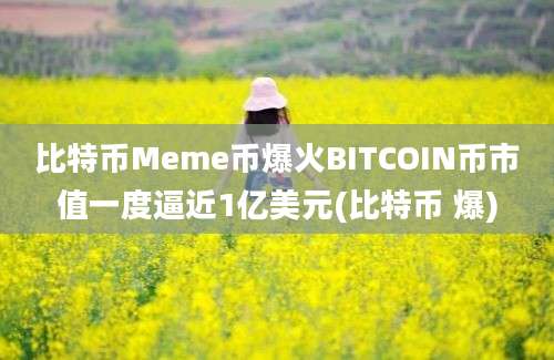 比特币Meme币爆火BITCOIN币市值一度逼近1亿美元(比特币 爆)