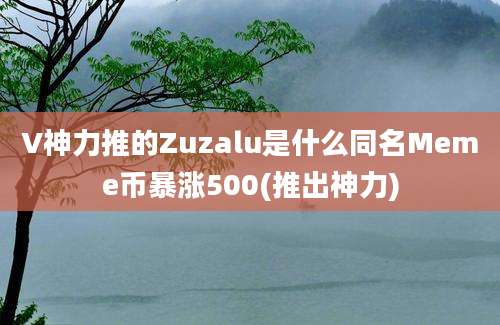 V神力推的Zuzalu是什么同名Meme币暴涨500(推出神力)