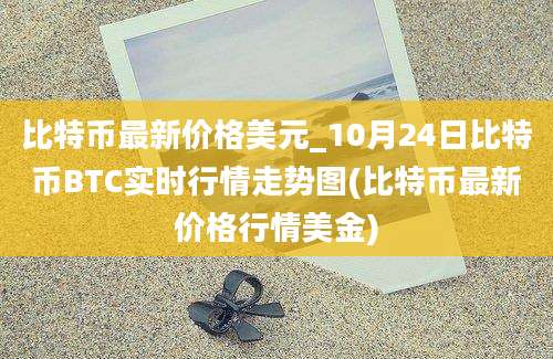 比特币最新价格美元_10月24日比特币BTC实时行情走势图(比特币最新价格行情美金)