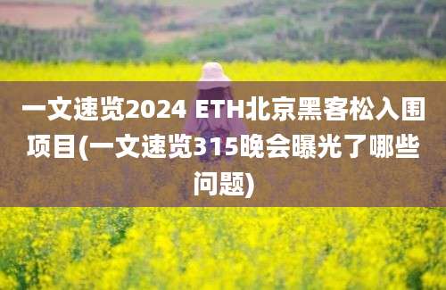 一文速览2024 ETH北京黑客松入围项目(一文速览315晚会曝光了哪些问题)