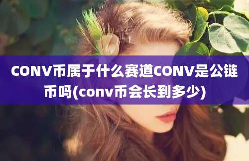 CONV币属于什么赛道CONV是公链币吗(conv币会长到多少)