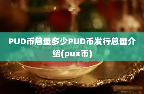 PUD币总量多少PUD币发行总量介绍(pux币)