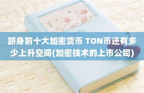 跻身前十大加密货币 TON币还有多少上升空间(加密技术的上市公司)