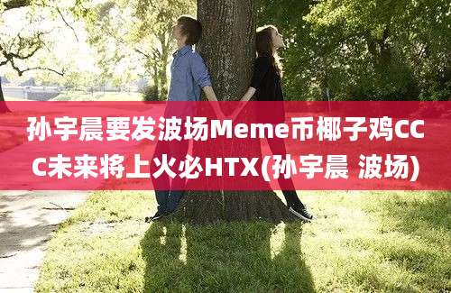 孙宇晨要发波场Meme币椰子鸡CCC未来将上火必HTX(孙宇晨 波场)