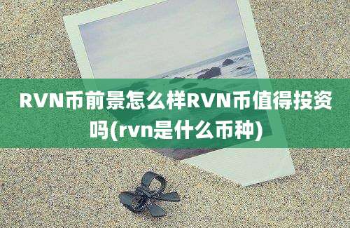 RVN币前景怎么样RVN币值得投资吗(rvn是什么币种)