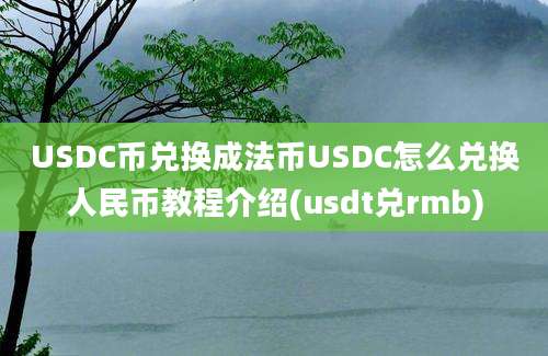 USDC币兑换成法币USDC怎么兑换人民币教程介绍(usdt兑rmb)