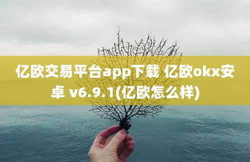 亿欧交易平台app下载 亿欧okx安卓 v6.9.1(亿欧怎么样)