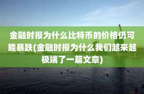 金融时报为什么比特币的价格仍可能暴跌(金融时报为什么我们越来越极端了一篇文章)