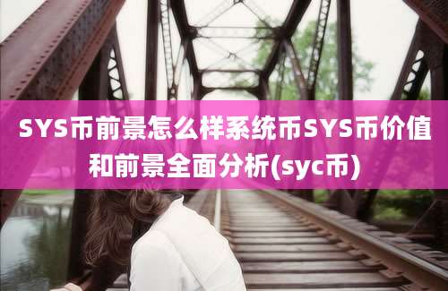 SYS币前景怎么样系统币SYS币价值和前景全面分析(syc币)