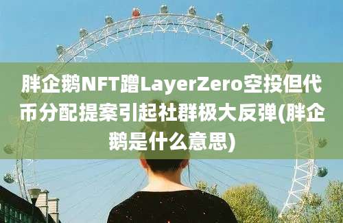 胖企鹅NFT蹭LayerZero空投但代币分配提案引起社群极大反弹(胖企鹅是什么意思)