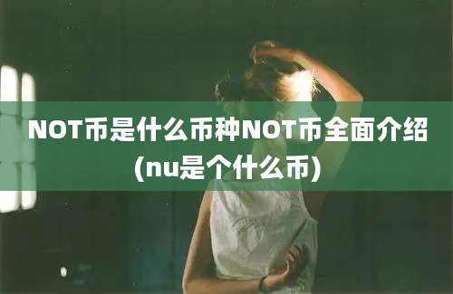 NOT币是什么币种NOT币全面介绍(nu是个什么币)