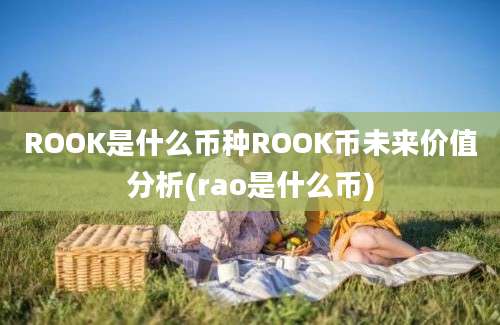 ROOK是什么币种ROOK币未来价值分析(rao是什么币)