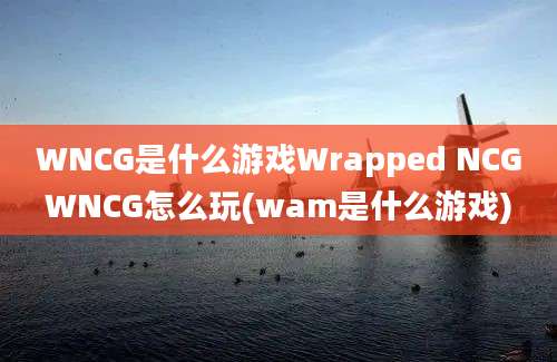 WNCG是什么游戏Wrapped NCGWNCG怎么玩(wam是什么游戏)