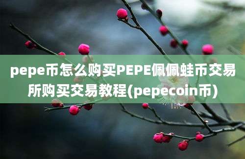 pepe币怎么购买PEPE佩佩蛙币交易所购买交易教程(pepecoin币)