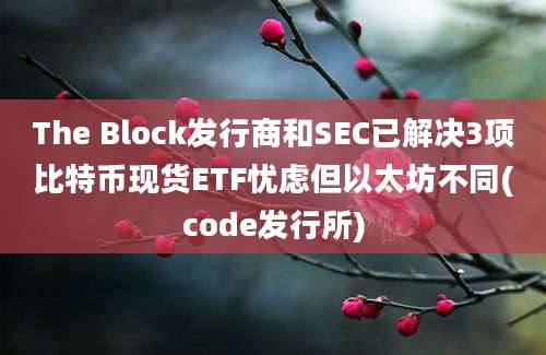 The Block发行商和SEC已解决3项比特币现货ETF忧虑但以太坊不同(code发行所)