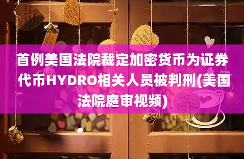 首例美国法院裁定加密货币为证券 代币HYDRO相关人员被判刑(美国法院庭审视频)