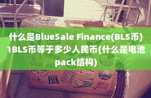 什么是BlueSale Finance(BLS币)1BLS币等于多少人民币(什么是电池pack结构)