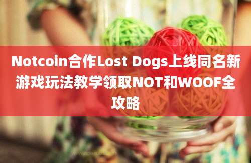 Notcoin合作Lost Dogs上线同名新游戏玩法教学领取NOT和WOOF全攻略