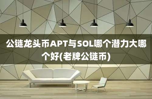 公链龙头币APT与SOL哪个潜力大哪个好(老牌公链币)