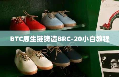 BTC原生链铸造BRC-20小白教程