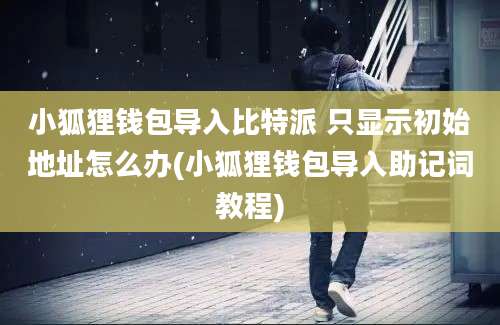 小狐狸钱包导入比特派 只显示初始地址怎么办(小狐狸钱包导入助记词教程)