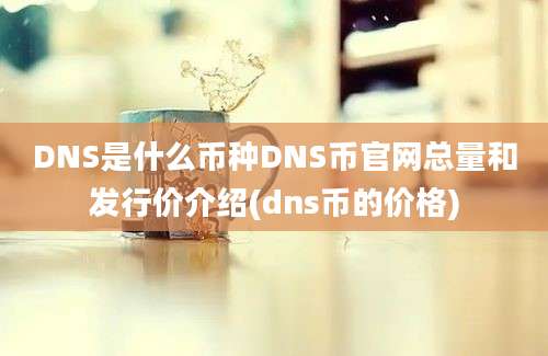 DNS是什么币种DNS币官网总量和发行价介绍(dns币的价格)