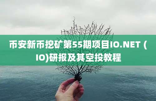 币安新币挖矿第55期项目IO.NET (IO)研报及其空投教程