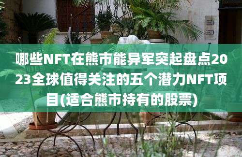 哪些NFT在熊市能异军突起盘点2023全球值得关注的五个潜力NFT项目(适合熊市持有的股票)