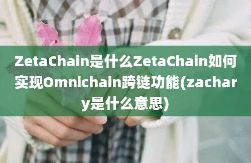 ZetaChain是什么ZetaChain如何实现Omnichain跨链功能(zachary是什么意思)