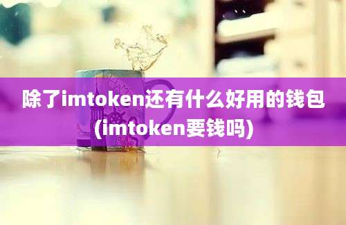 除了imtoken还有什么好用的钱包(imtoken要钱吗)