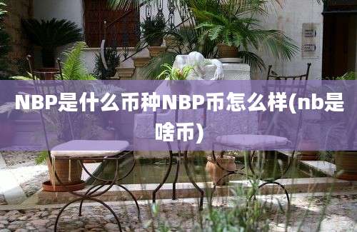 NBP是什么币种NBP币怎么样(nb是啥币)