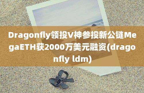 Dragonfly领投V神参投新公链MegaETH获2000万美元融资(dragonfly ldm)