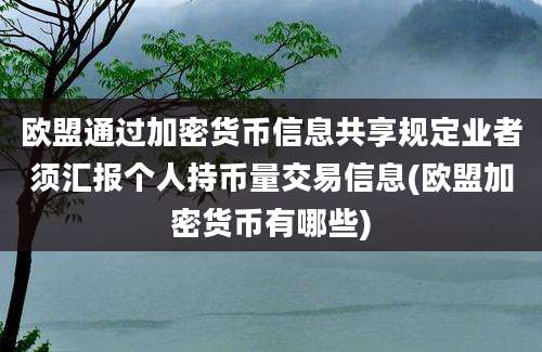 欧盟通过加密货币信息共享规定业者须汇报个人持币量交易信息(欧盟加密货币有哪些)