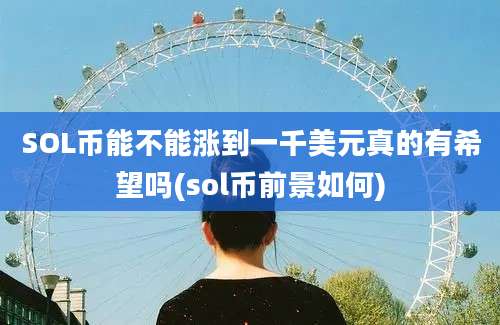 SOL币能不能涨到一千美元真的有希望吗(sol币前景如何)