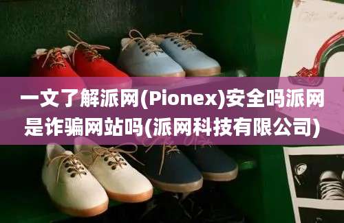 一文了解派网(Pionex)安全吗派网是诈骗网站吗(派网科技有限公司)