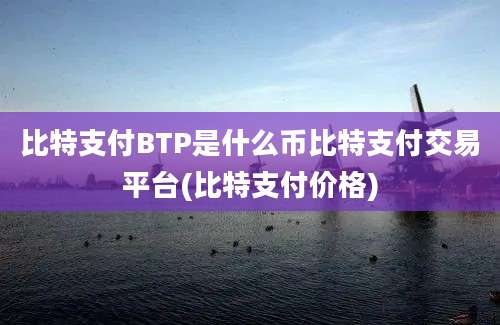 比特支付BTP是什么币比特支付交易平台(比特支付价格)