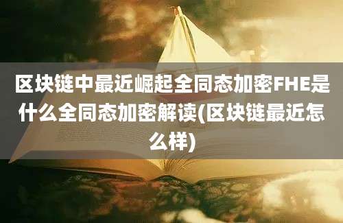 区块链中最近崛起全同态加密FHE是什么全同态加密解读(区块链最近怎么样)