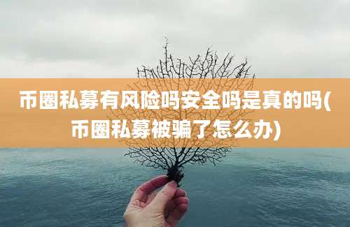 币圈私募有风险吗安全吗是真的吗(币圈私募被骗了怎么办)