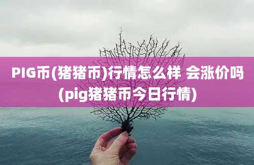 PIG币(猪猪币)行情怎么样 会涨价吗(pig猪猪币今日行情)